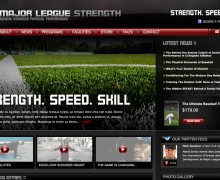 mlstrength_web